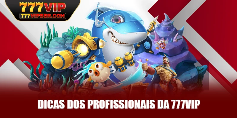 Dicas dos profissionais da 777VIP